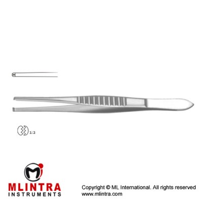 Mod. USA Dissecting Forceps 1 x 2 Teeth Stainless Steel, 14.5 cm - 5 3/4"